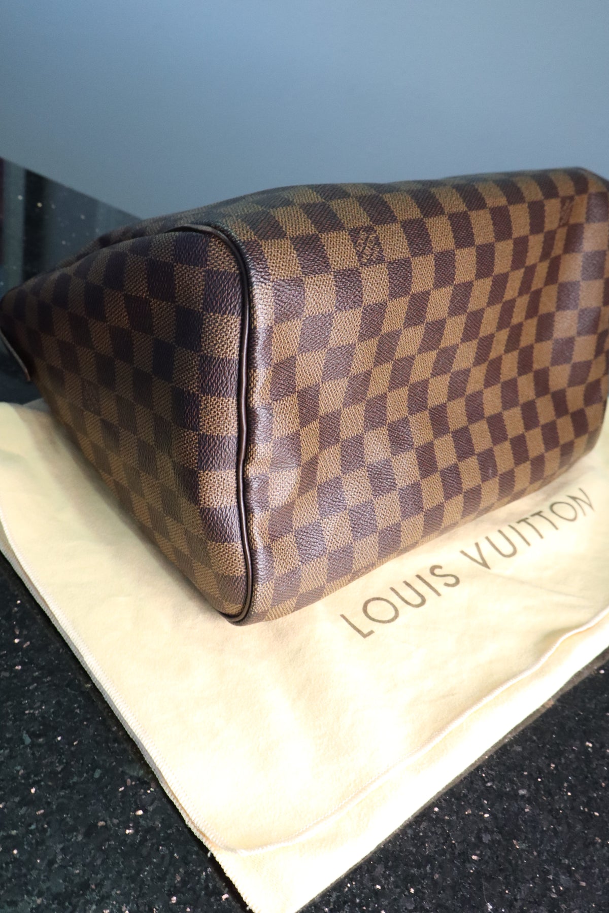 Louis Vuitton Damier Ebene Speedy Handbag